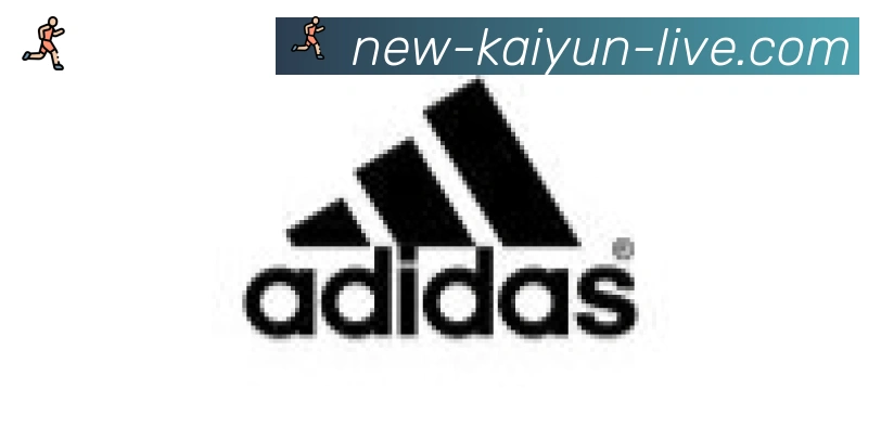 开云体育合作伙伴